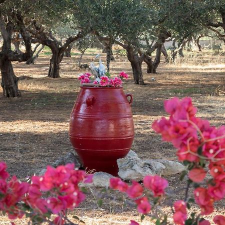Xirouchakis Farm Apartment Kissamos Luaran gambar